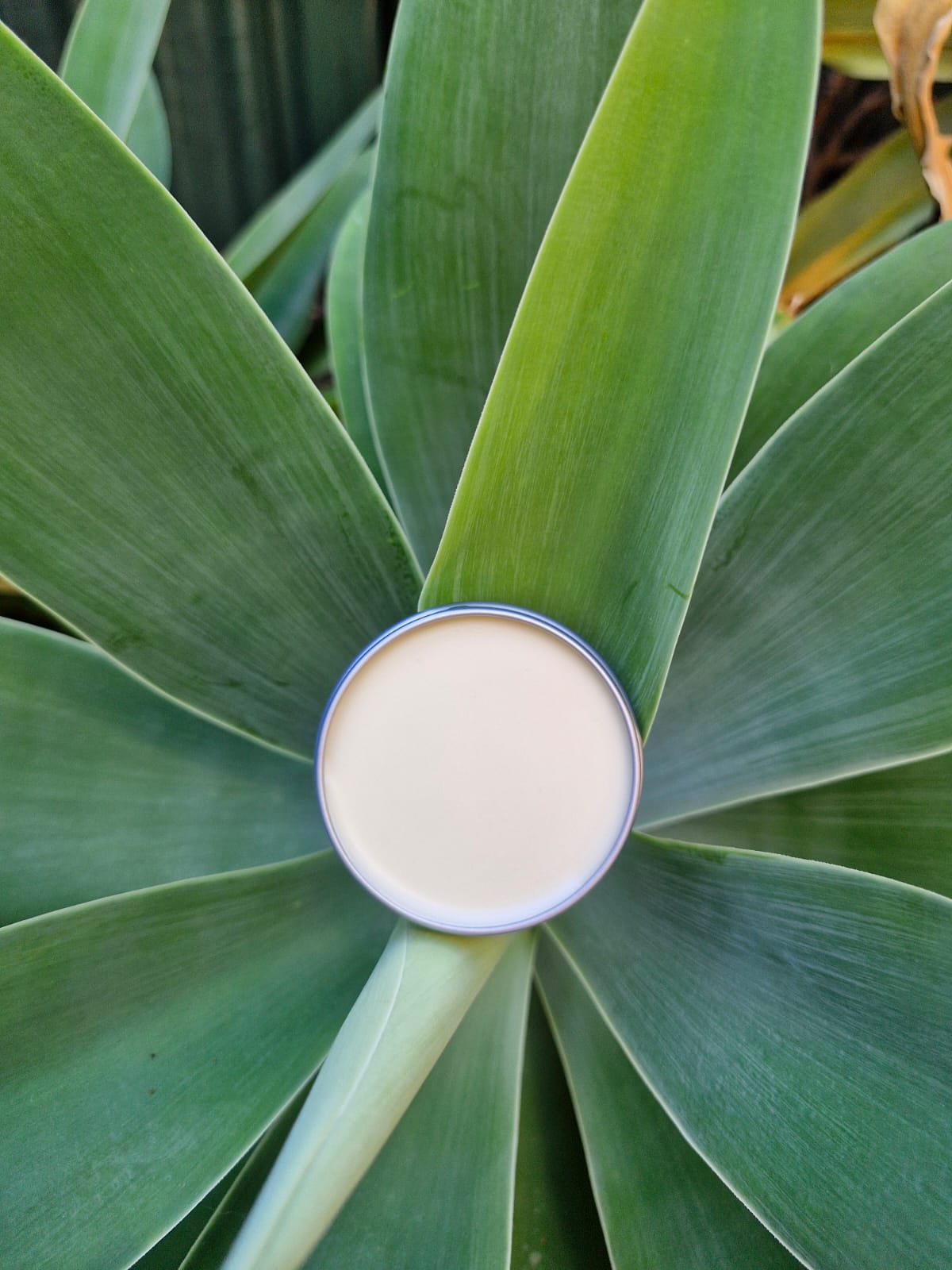 Feel fresh from pre-start to knock-off